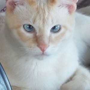 Meet your Posher, Kathy